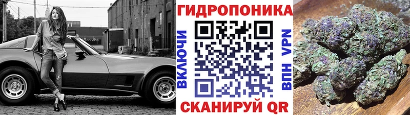 Бошки Шишки Bruce Banner  Купить закладки  Канск 